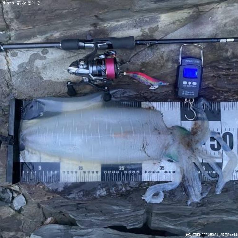 �����ꥤ��