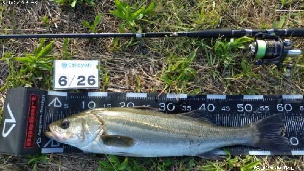 �����Х�