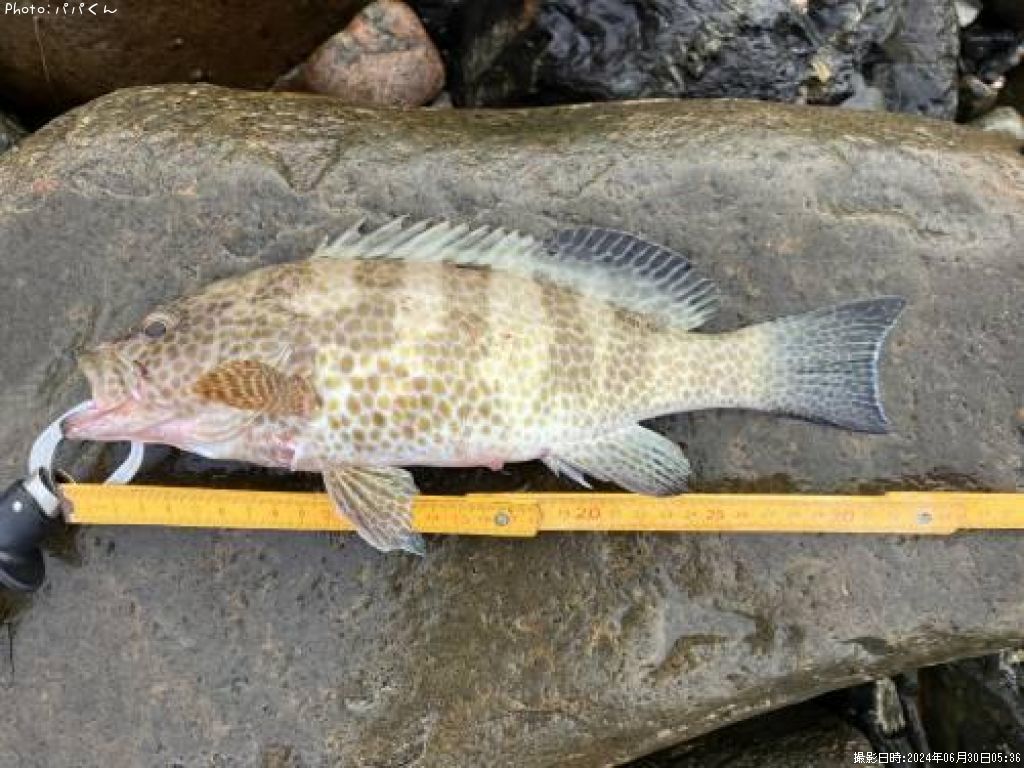 �������ϥ�