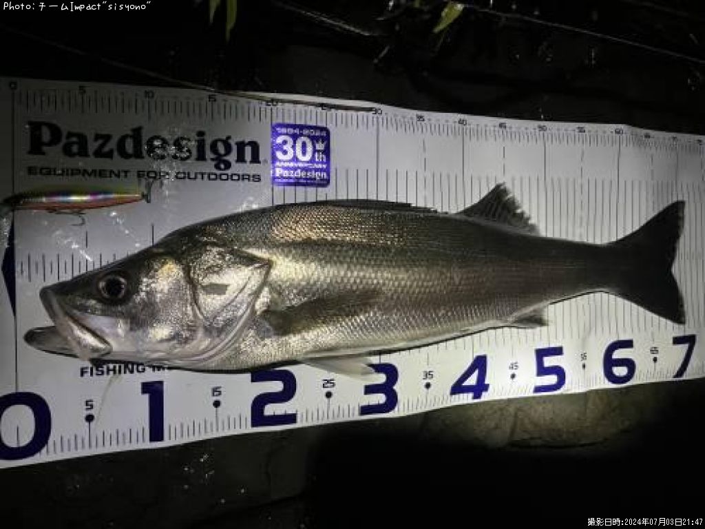 �����Х�