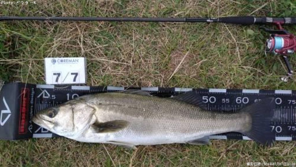 �����Х�