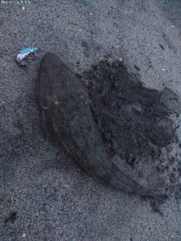 �ޥ���