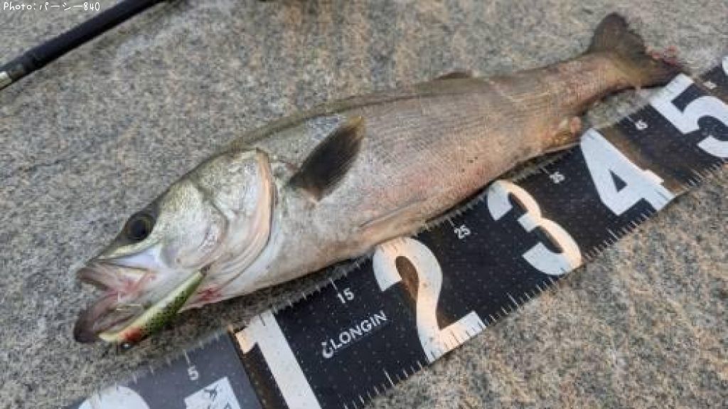 �����Х�