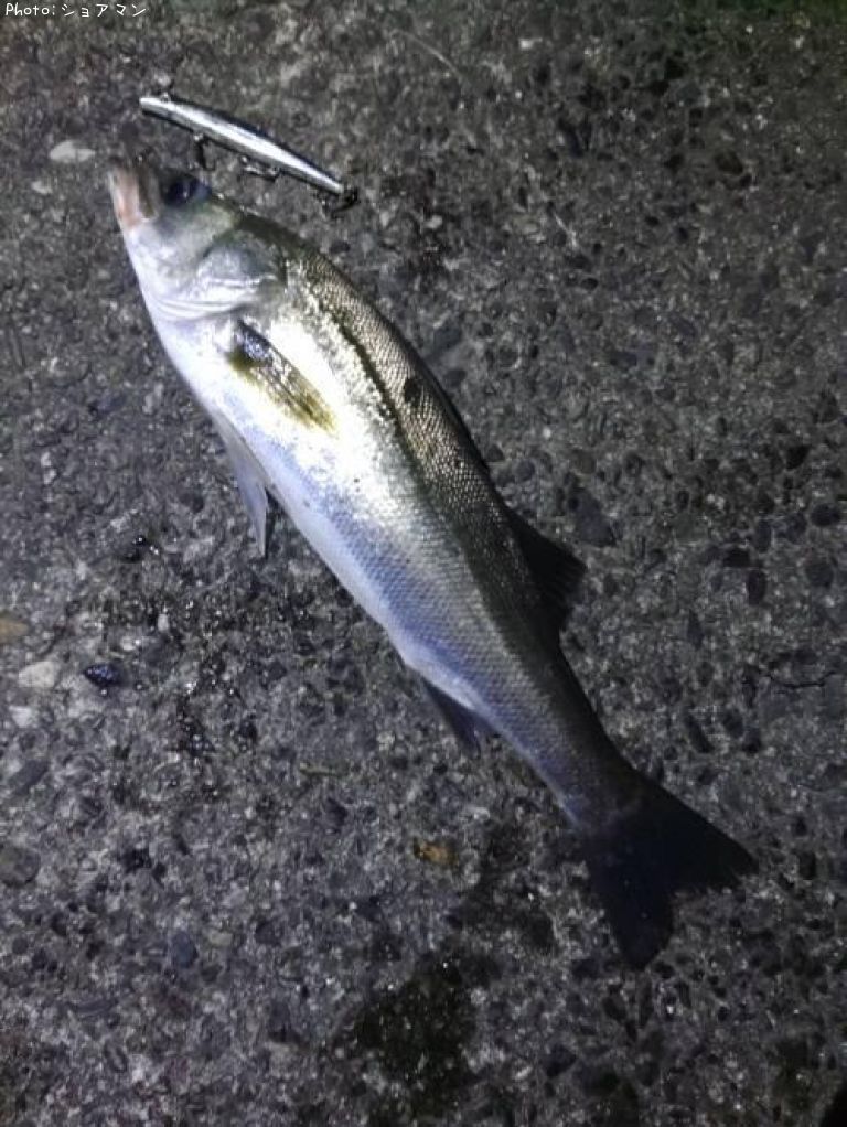 �����Х�