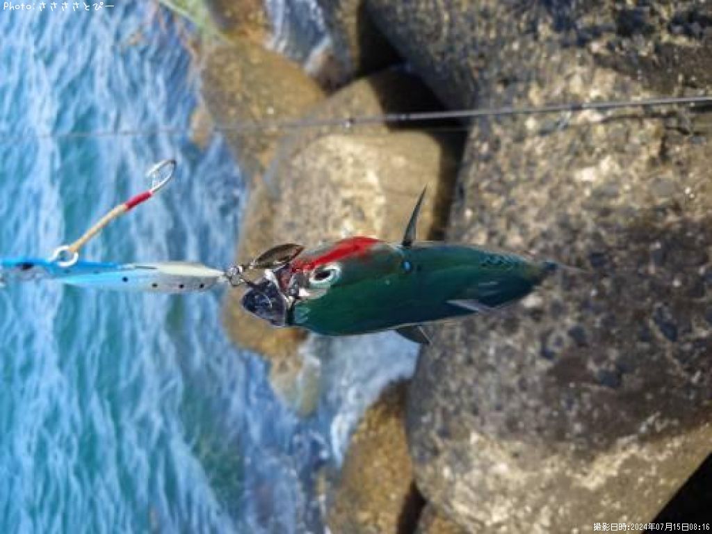 ���������ĥ�