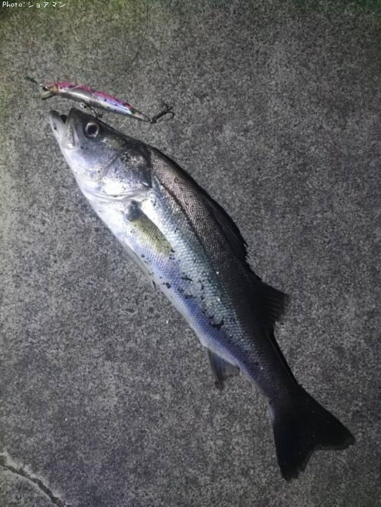 �����Х�