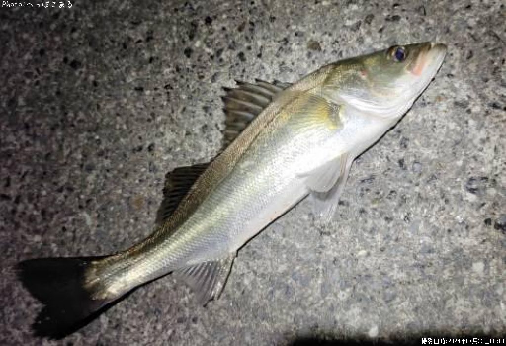 �����Х�