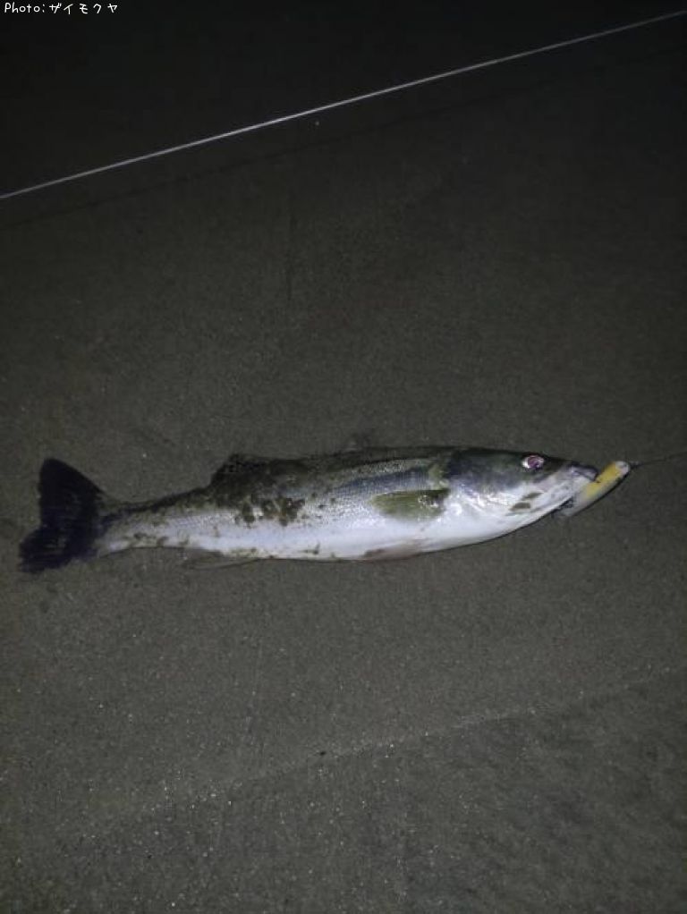 �����Х�