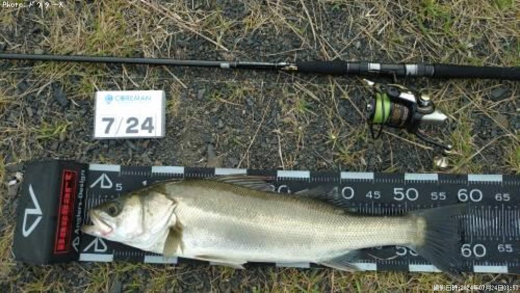 �����Х�