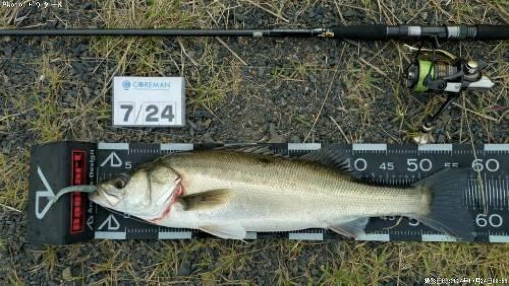 �����Х�