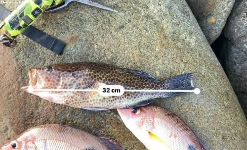 �������ϥ�