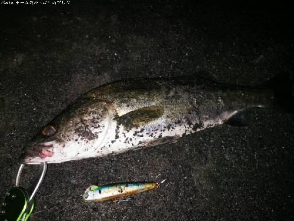 �����Х�