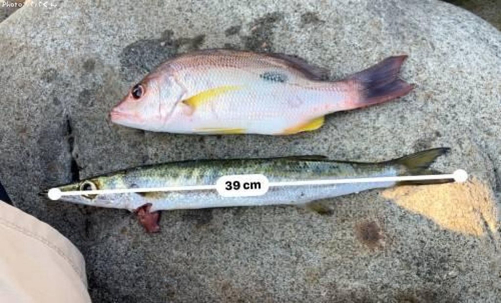 ������󥫥ޥ�