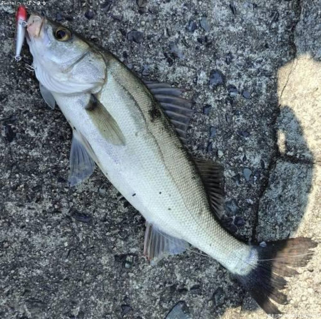 �����Х�