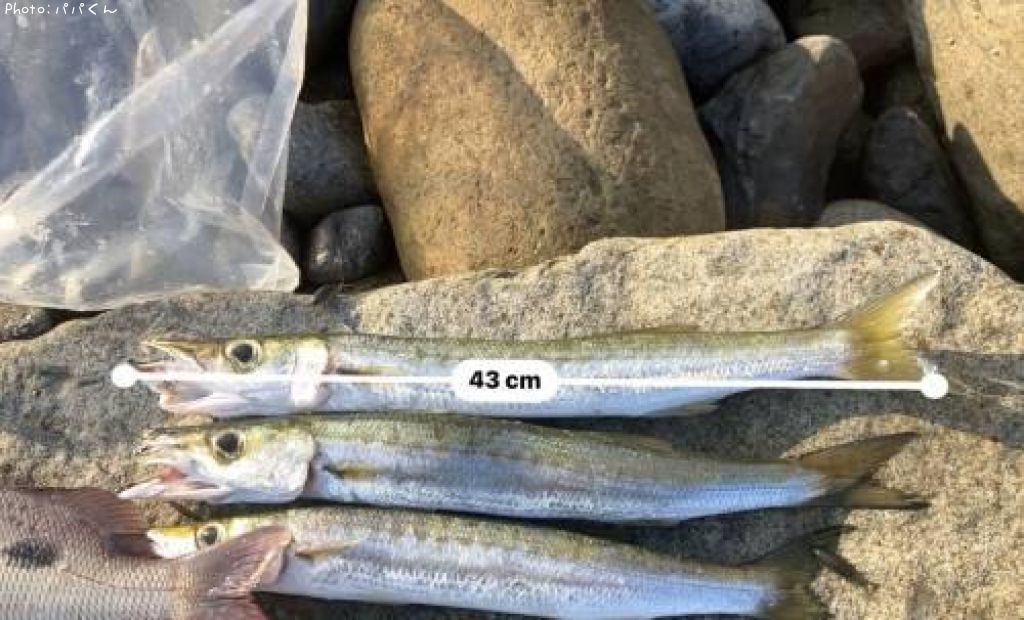 ������󥫥ޥ�