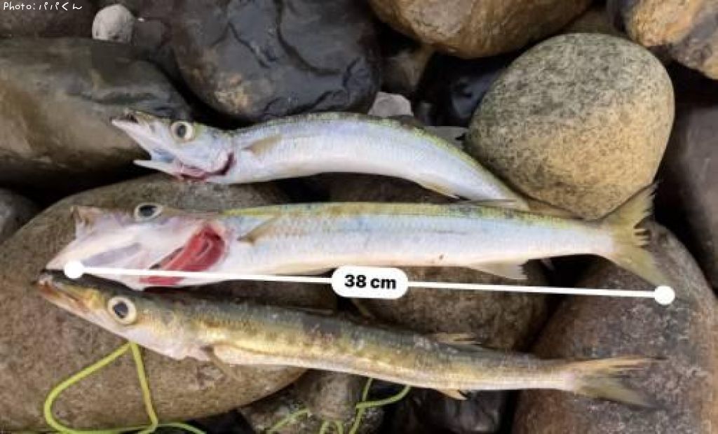 ������󥫥ޥ�