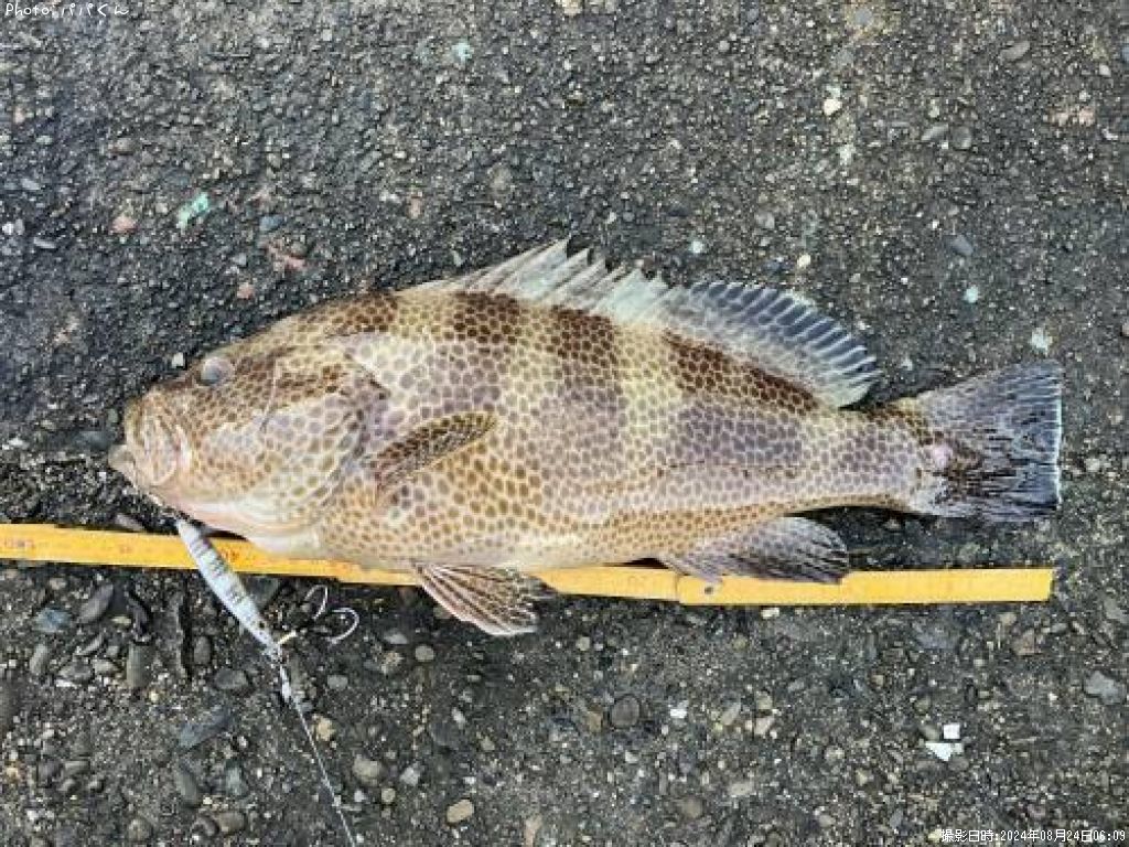 �������ϥ�