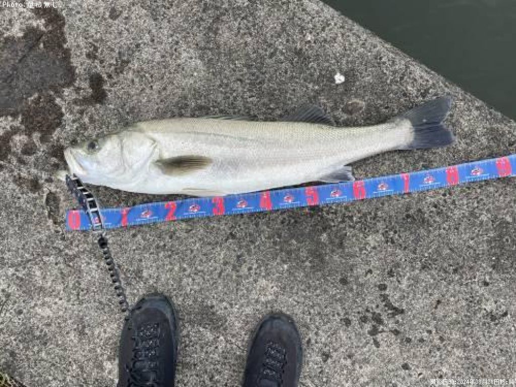 �����Х�