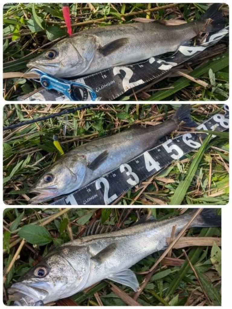 �����Х�