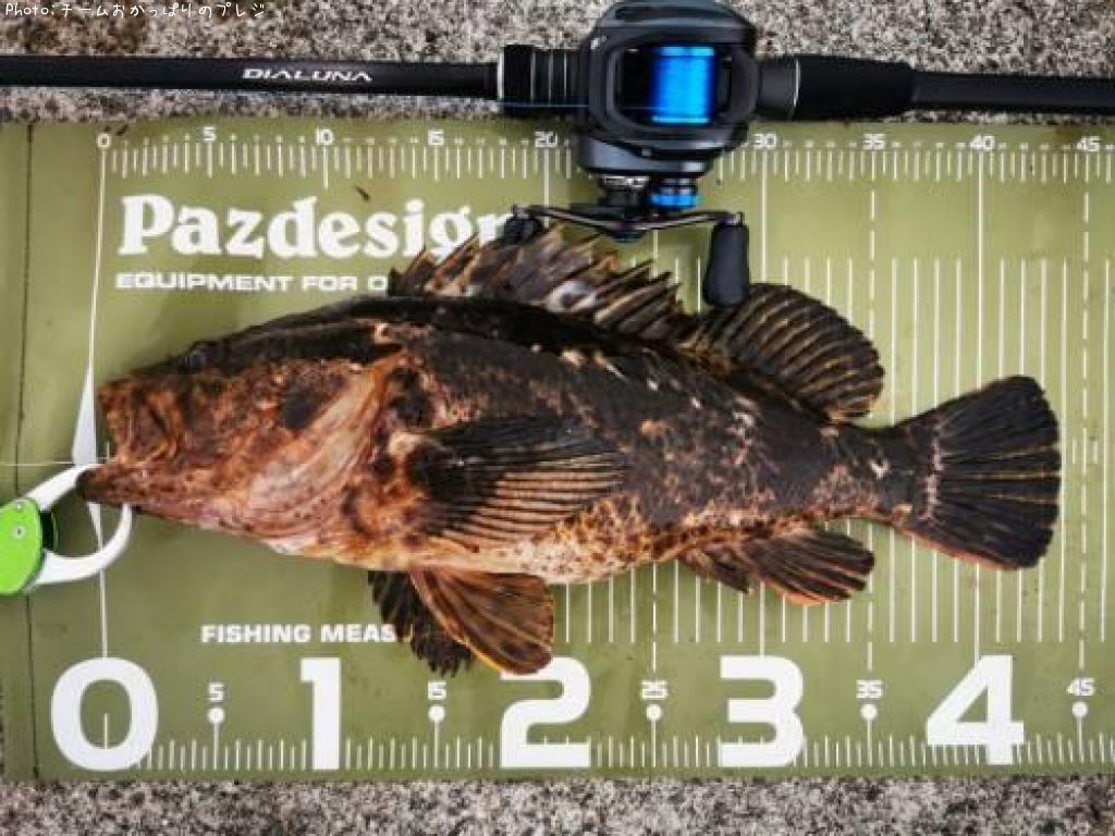 �����Υ���Х�