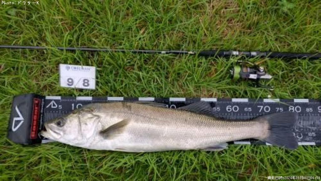 �����Х�