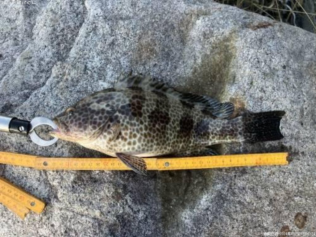 �������ϥ�