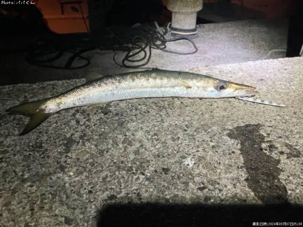 ������󥫥ޥ�