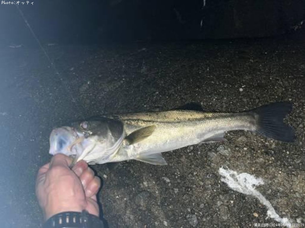 �����Х�