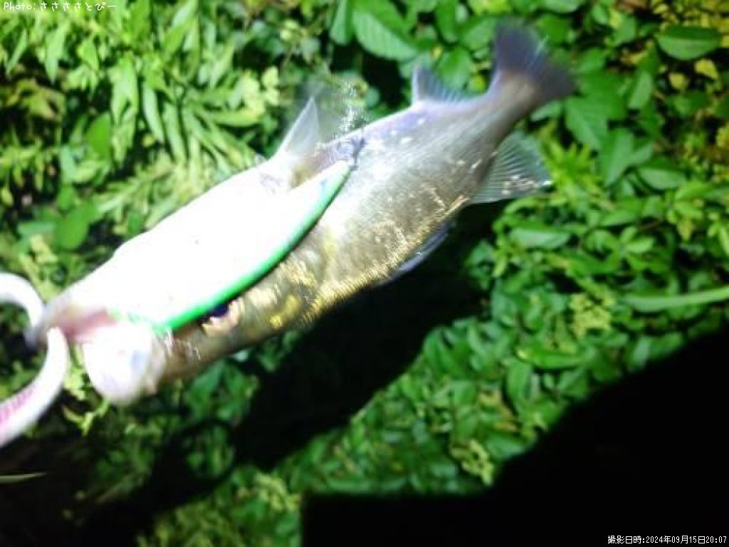 �����Х�