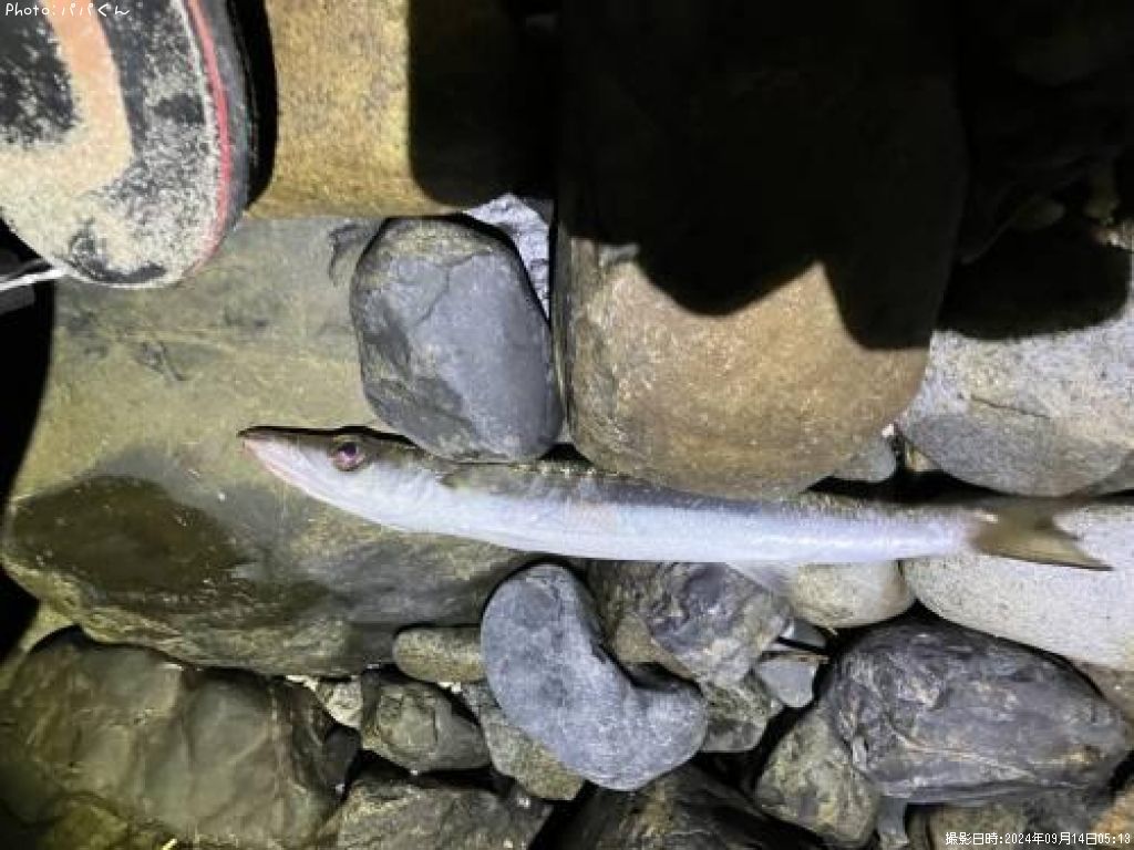 ������󥫥ޥ�