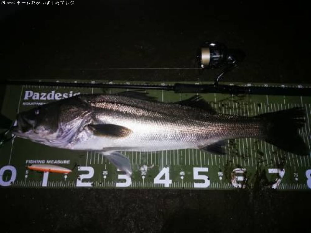 �����Х�