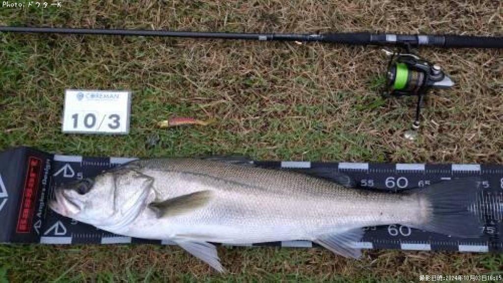 �����Х�