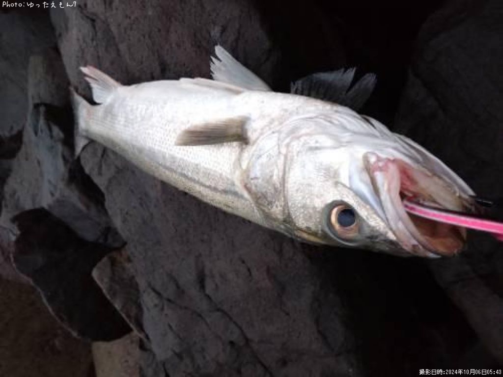 �����Х�