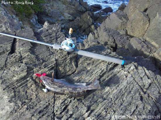 �����ʥ�