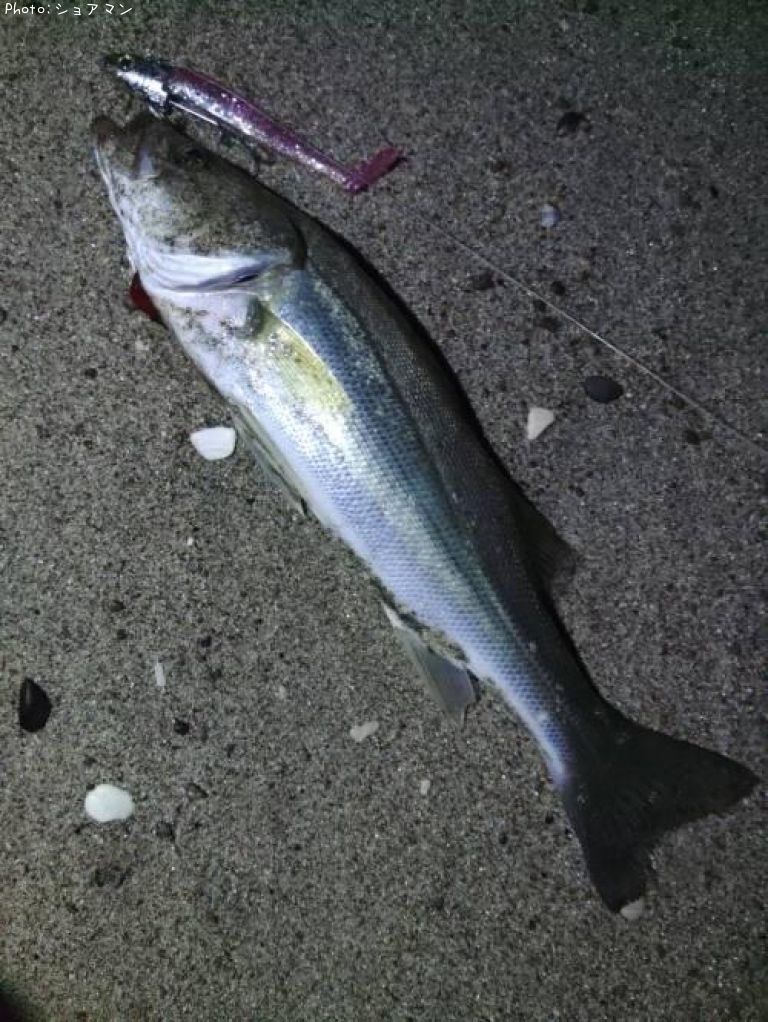 �����Х�