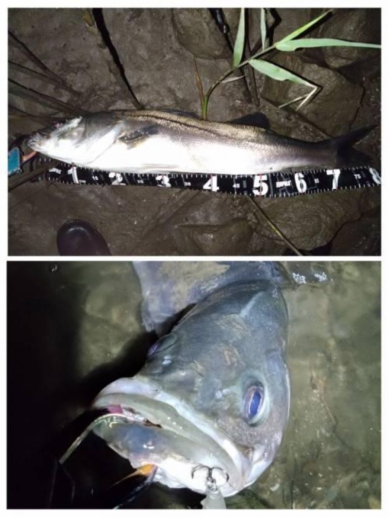 �����Х�