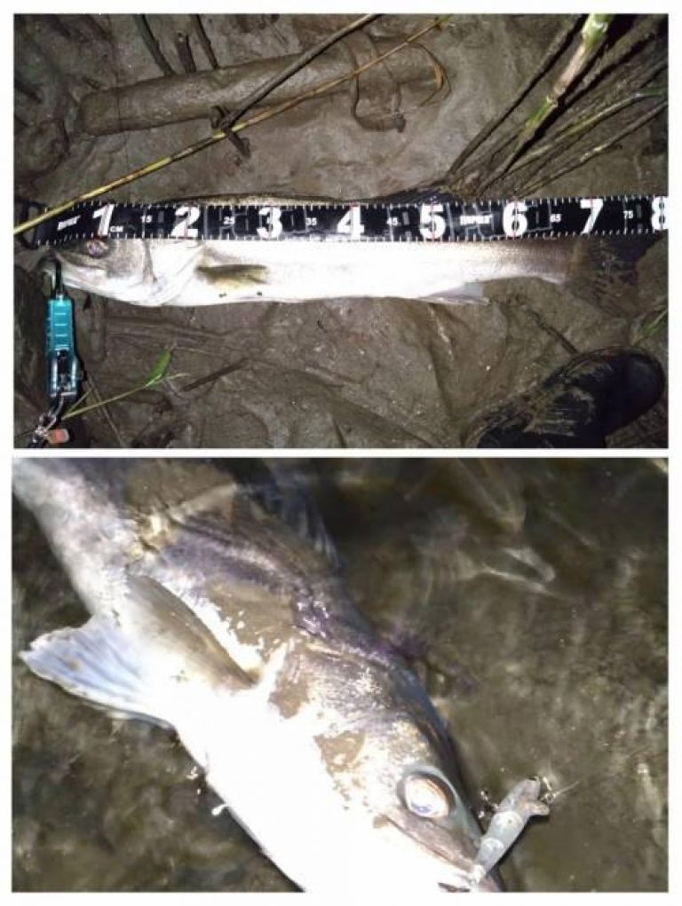 �����Х�