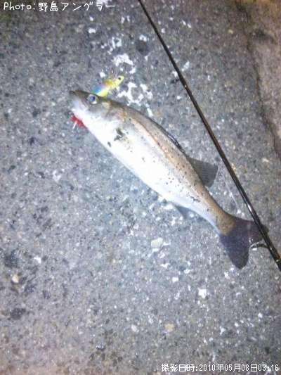 �����Х�