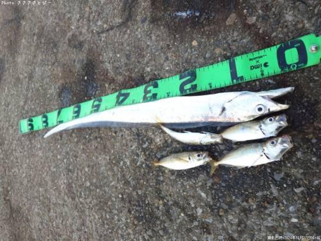 ����������������С����Υ���