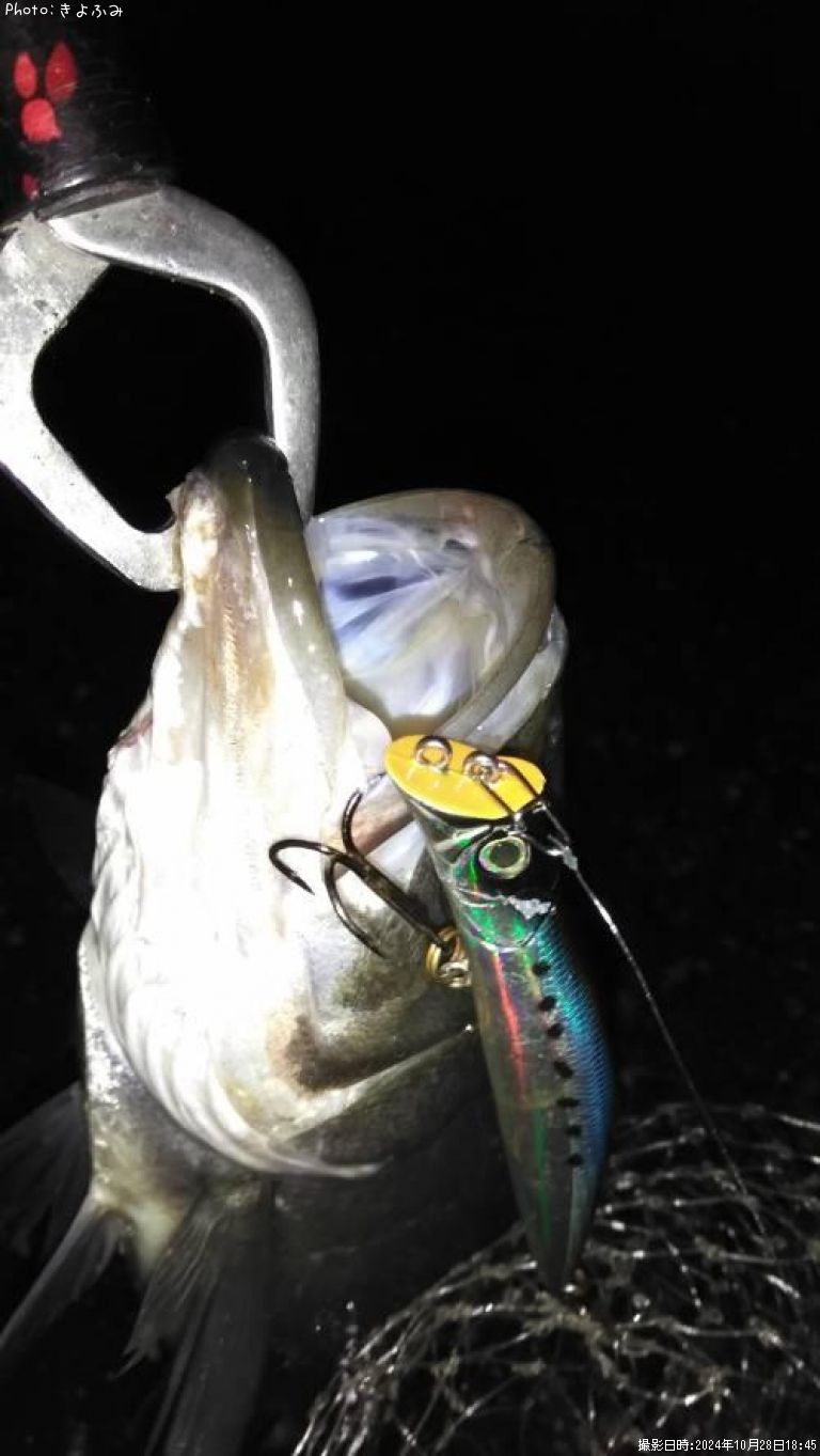 �����Х�