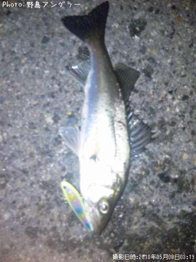 �����Х�