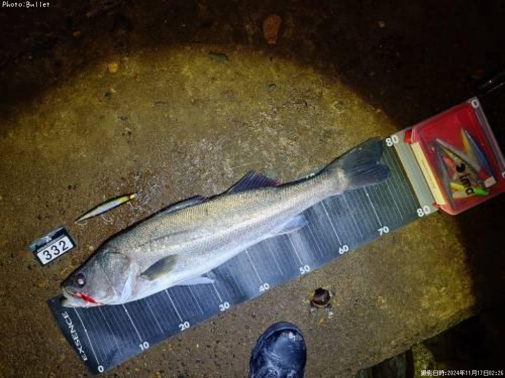 �����Х�