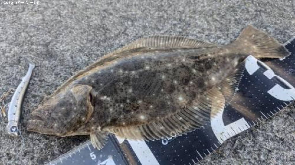 �ҥ��ʥ���