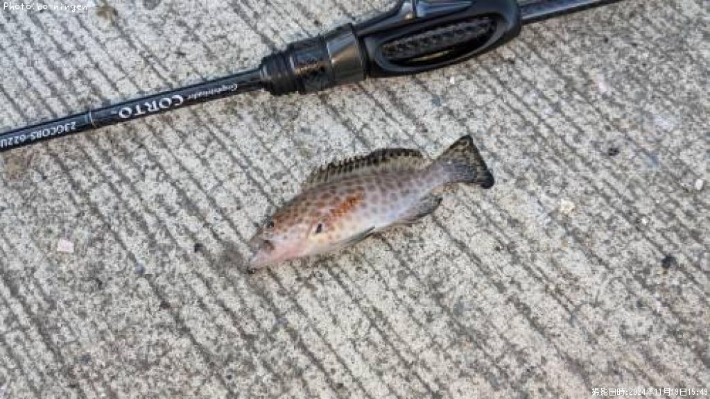 �������ϥ���