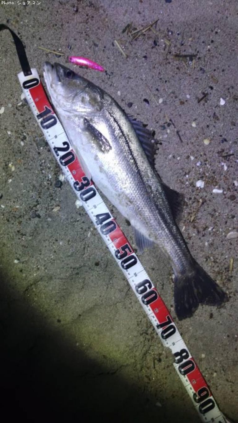 �����Х�