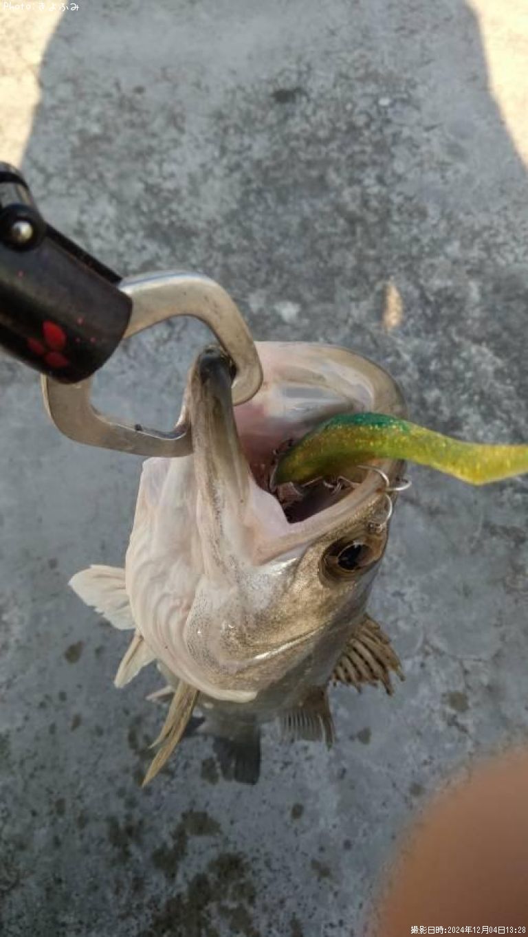 �����Х�