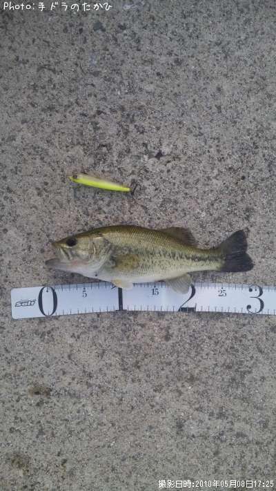 �֥�å��Х�