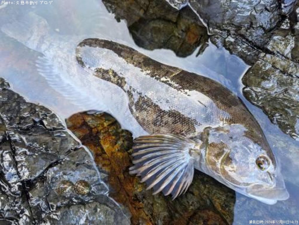 �����ʥ�