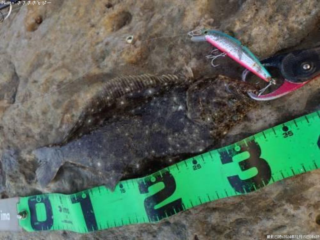 �ҥ��ʥ�����