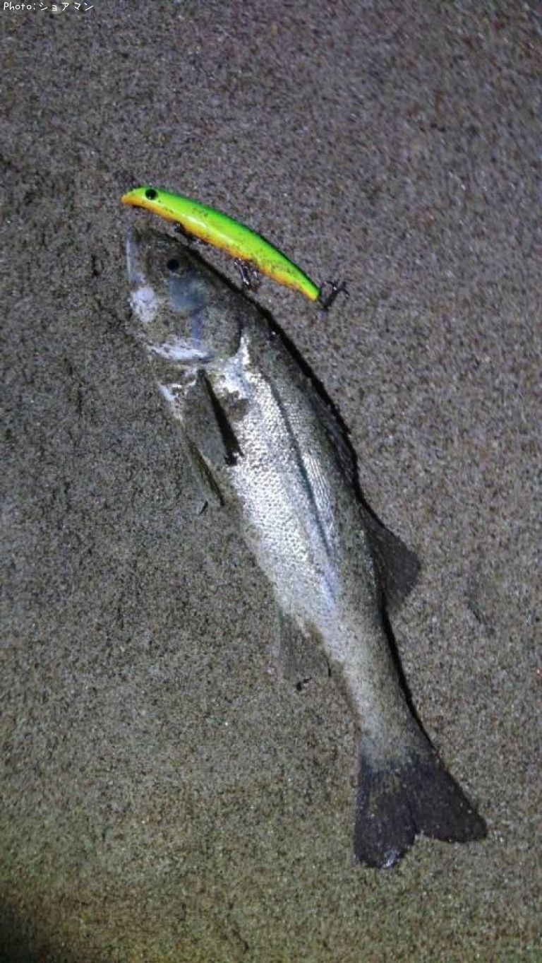 �����Х�